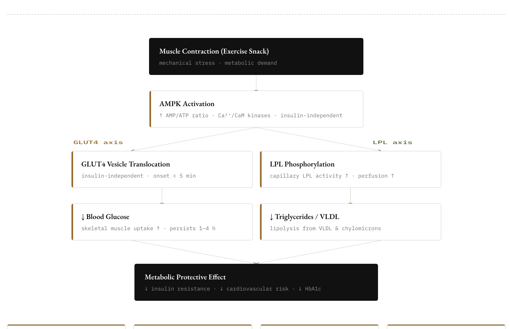 Preview Exercise Snacks Dashboard